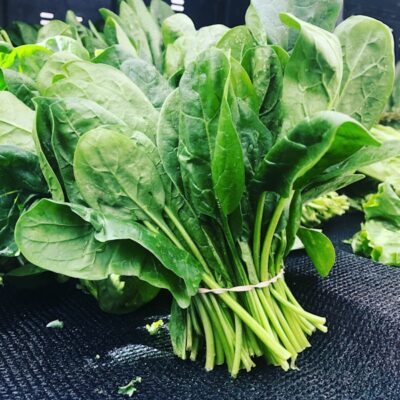 Baby Spinach Salad Leaves (Pouch)