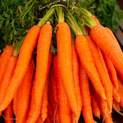 Organic Dutch Carrots with Green Tops