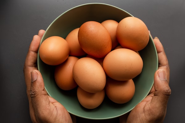 Pasture Raised Organic Farm Eggs (12pk)